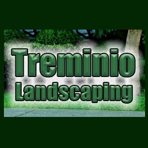 Treminio Landscaping